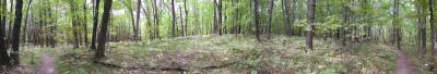 7th Place Path to Cedar Bog Lakeby NeverLostEver