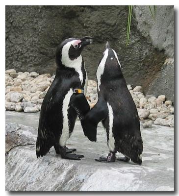 Holding flippers...so sweet!