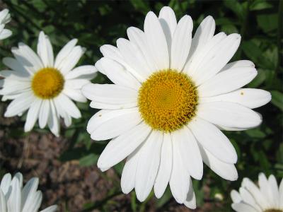 IMG_6537.jpg