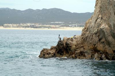 Pelican Sentinel