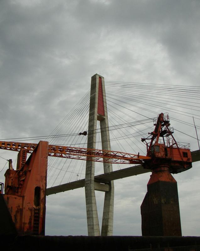 P5300002b.jpg