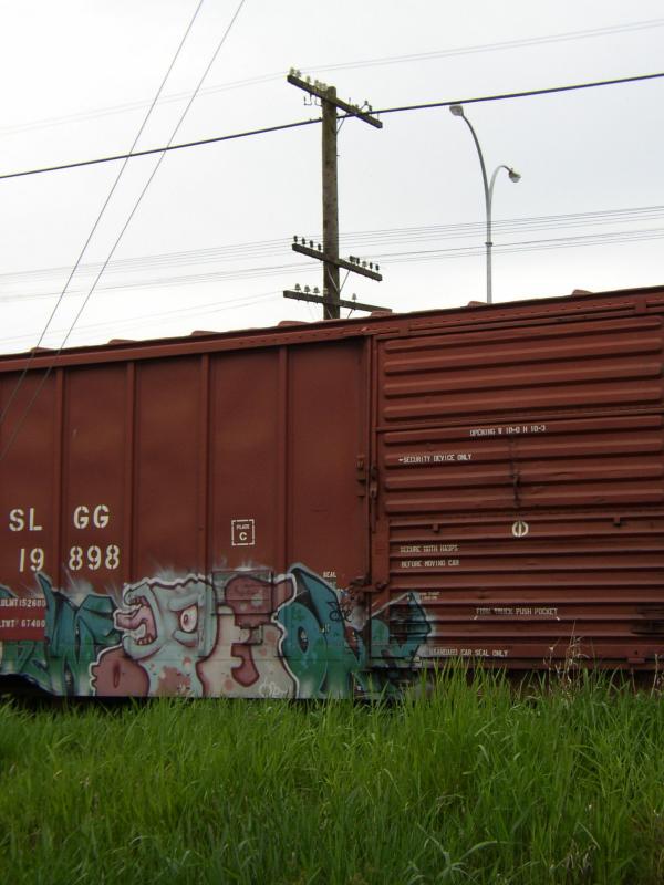 P5300032.jpg