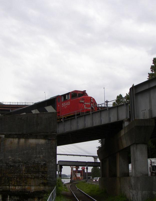 P5300138a.jpg