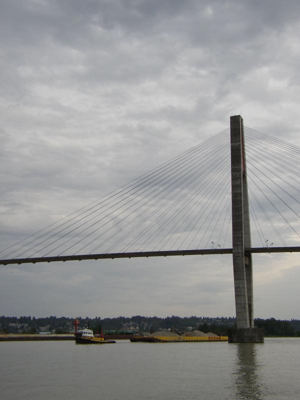 P5300174a.jpg