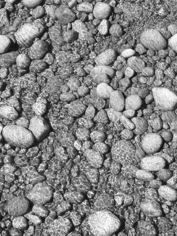P6060054a_bw.jpg