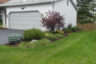Side Yard
