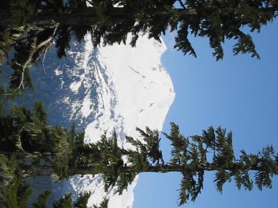 101-0160_IMG.JPG