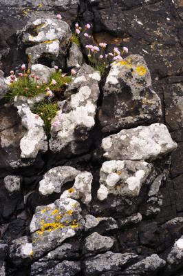 Rock Thrift