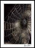 Beaded Spider Web