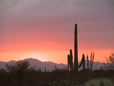 One more sunset as we leave the Sonoran Desert