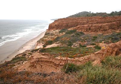 Torrey Pines Park