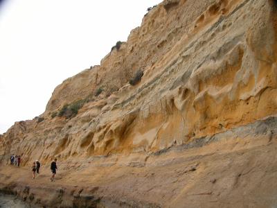 Torrey 091.jpg