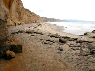 Torrey 102.jpg