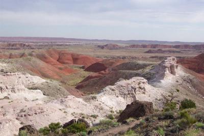 Trail to the Painted Desert