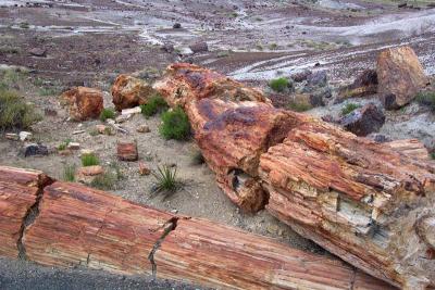 Red Logs