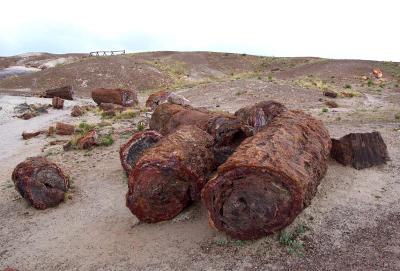 Pair of Logs