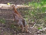 2005-05-04 Hopper