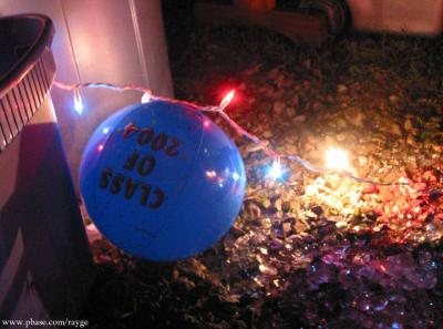 IMG_7715.jpg