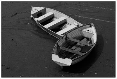 Stranded Dinghies, Topsham