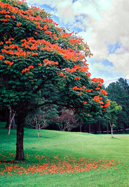 Terespolis Golf Club, Rio de Janeiro