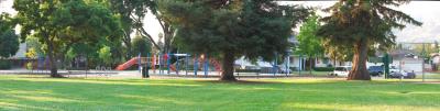 3 pic stich of park