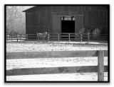 IR Horse Farm