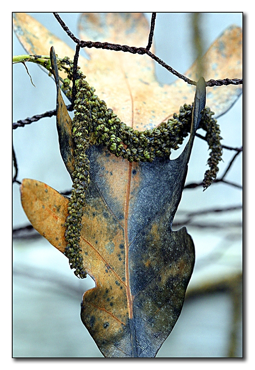 Hanging On