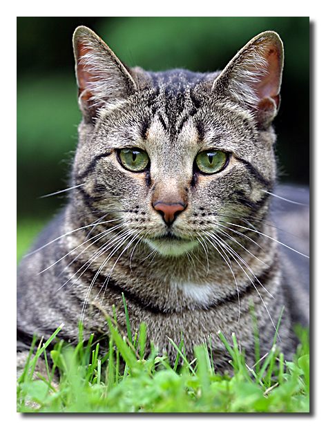 Portrait of Meika
