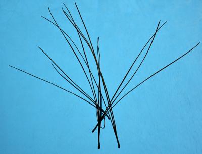 Pine needles afloat