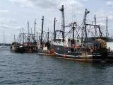 Fishing Boats Newport