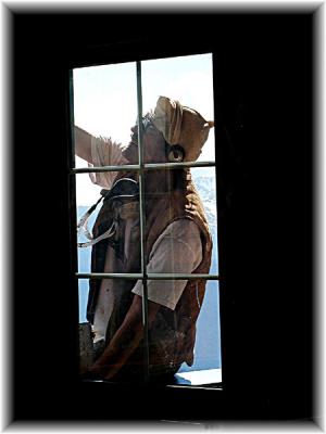 Window washer at hurricane ridge