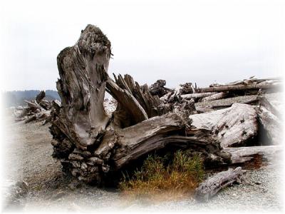 Ruby Beach, WA