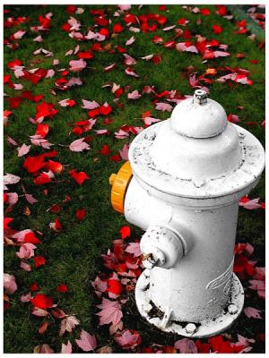 Hydrant in the fall