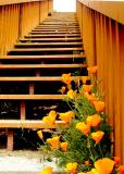 Stairway to Heaven? Lk Chelan