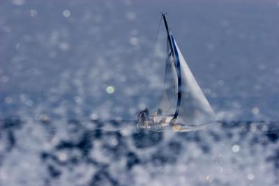 888_8810pb.jpg