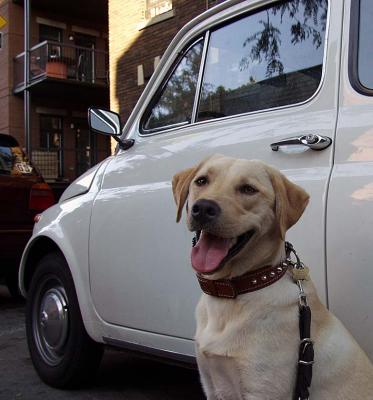 Montana on the street