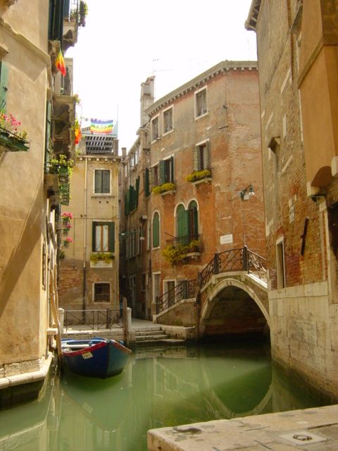 DSC00530.JPG