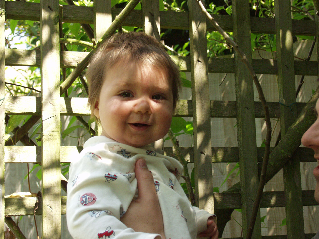 Jimbo at 10 months.jpg