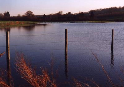 Flooded Field