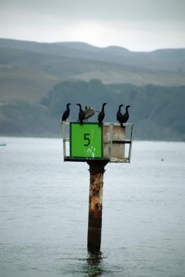 19 Inside Tomales Bay