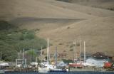 28-tomales-aug-97