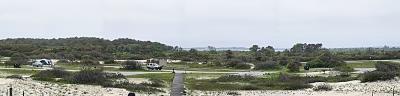 u29/sfink16/medium/17078178.AssateagueIsland_filtered.jpg
