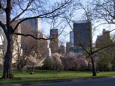 southeast corner of the park