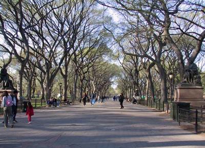 the mall