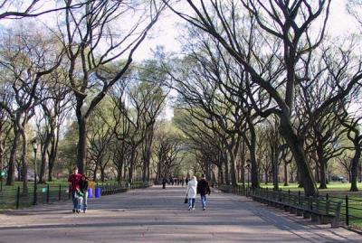 the mall