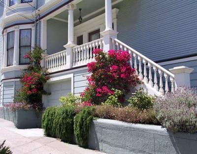 u29/sfvictorians/medium/17456975.DoloresandLibertylandscaping.jpg