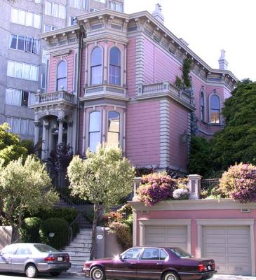 u29/sfvictorians/medium/17464083.PinebetGoughOctaviaduskymaroonbrownITb.jpg