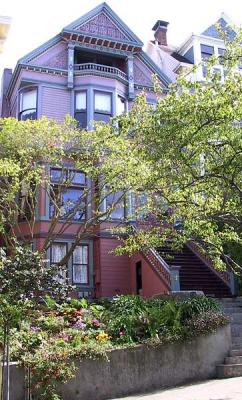u29/sfvictorians/medium/17466578.PacificbetScottDivisaderomauveQA1891PLR37.jpg