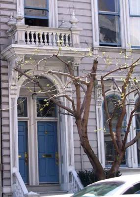 Bush-bet-Steiner-Pierce-IT-entry-2.jpg