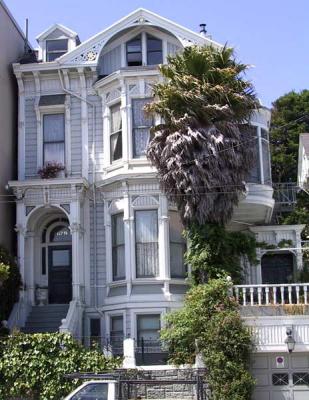 California-bet-Pierce-Scott-blue-w-palm-IT.jpg